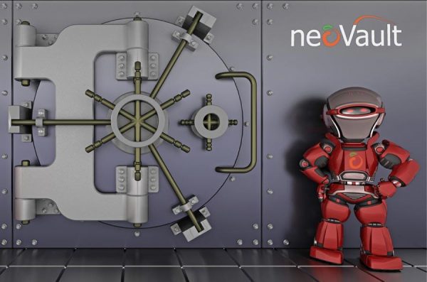 NeoVault USA Based Backup Solution (Per Month)
