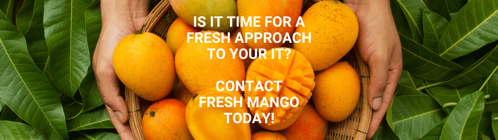 Take a fresh approach